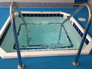 cold plunge pool cost