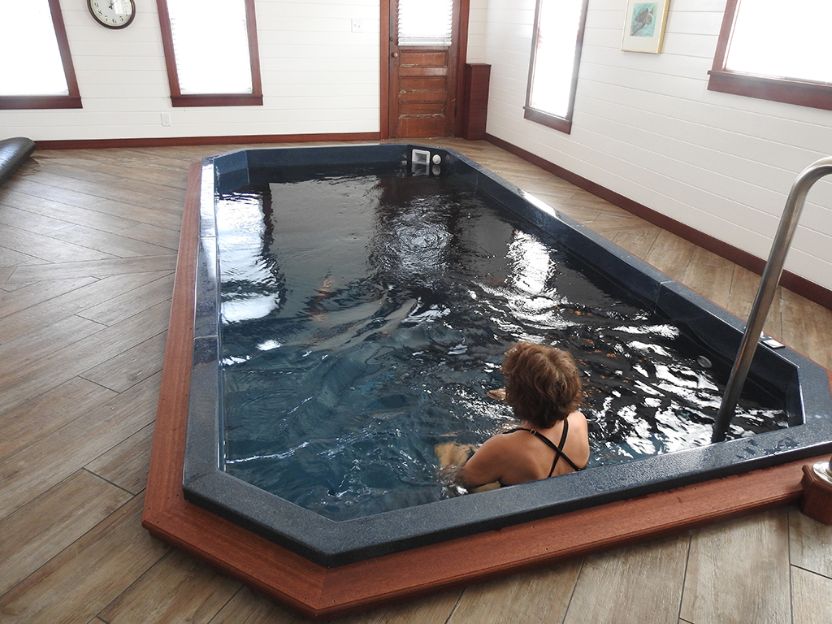 Indoor residential plunge pool.